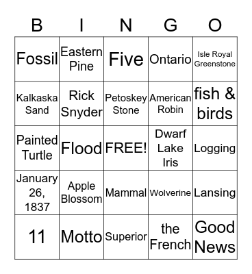 Our Michigan Adventure Bingo Card