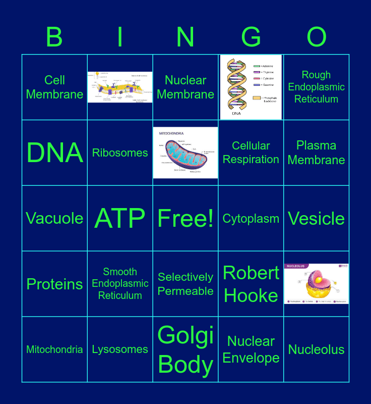 Animal Cell Organelles & Facts Bingo Card
