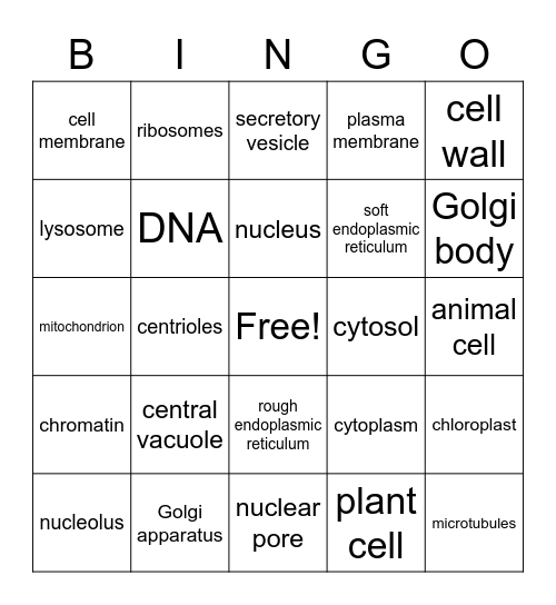 plant and animal cells Bingo Card