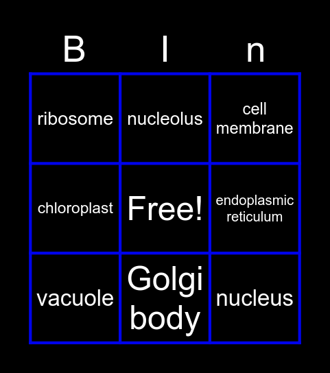 Cell structure Bingo Card