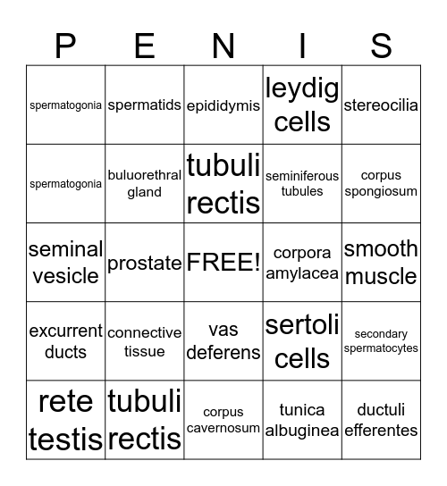 Penis Bingo Card