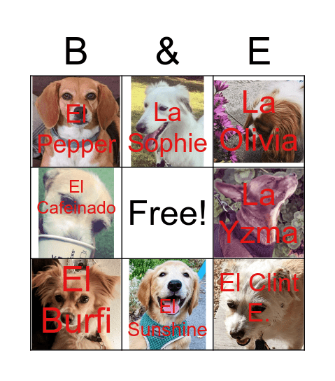 Dog Sitting Loteria! Bingo Card