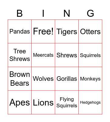 Science Bingo Card