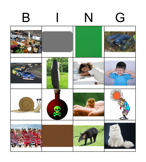 5th Grade - Oaxaca Bingo Card