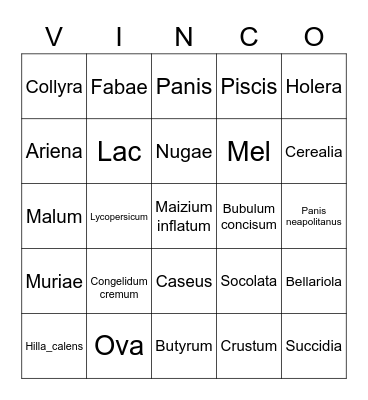 VINCO! (Latin Food Bingo) Bingo Card
