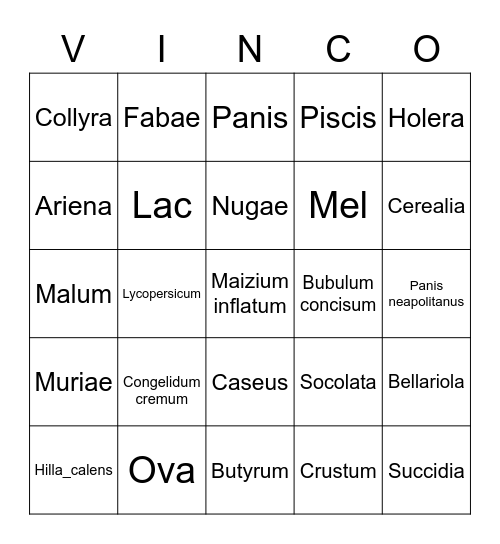 VINCO! (Latin Food Bingo) Bingo Card