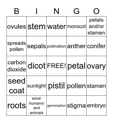 SCIENCE BINGO Card