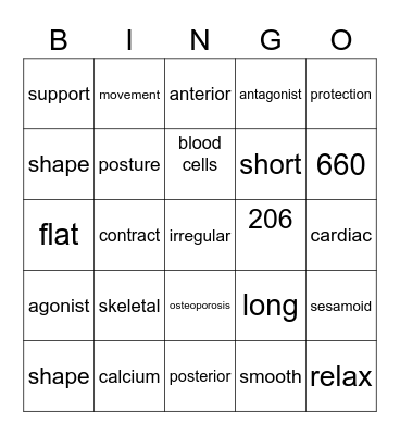 Bones and muscles key words Bingo Card