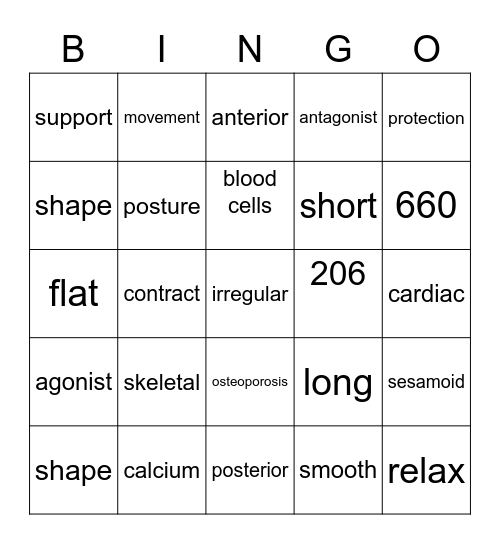 Bones and muscles key words Bingo Card