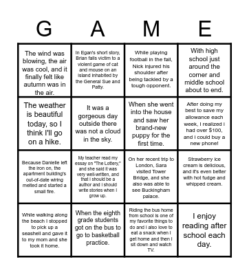 Sentence Types Bingo Card