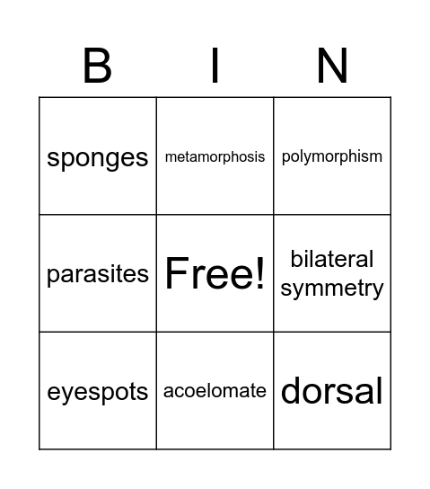 lower invertebrates Bingo Card