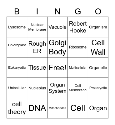 Chapter 3 Review Bingo Card