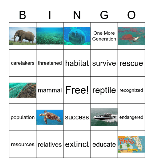 Wonders U2W4 Bingo Card