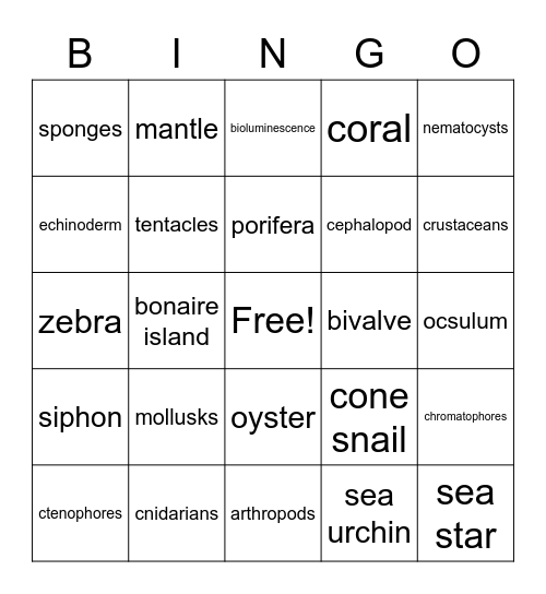 Invertebrates Bingo Card