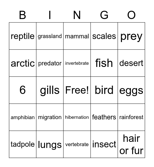 Animal Review Bingo Card
