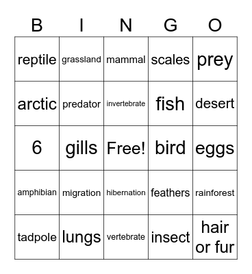 Animal Review Bingo Card
