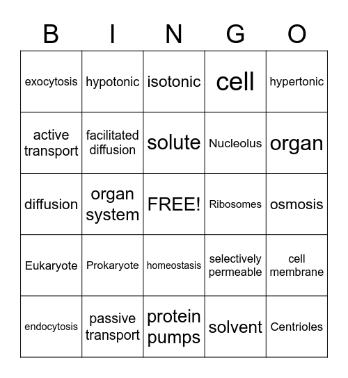 Cell Transport and Organelles Bingo Card