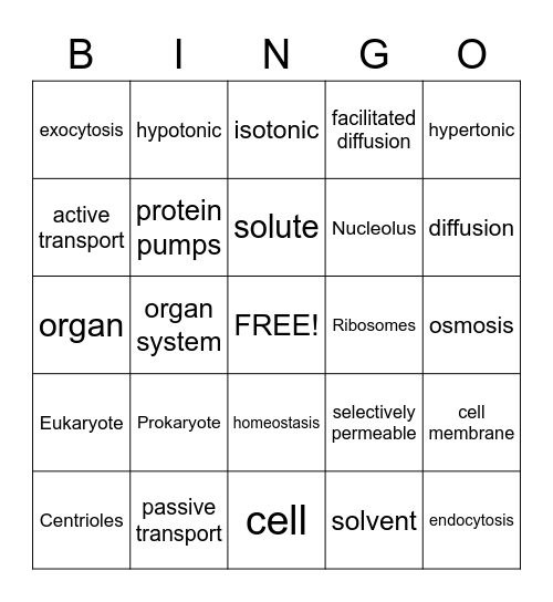 Cell Transport and Organelles Bingo Card