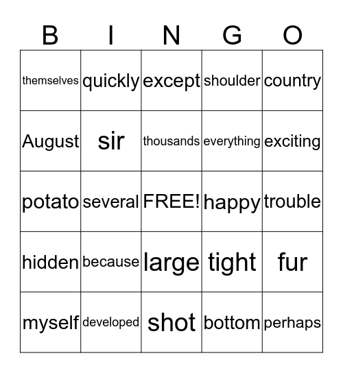 Fantastic Sight Words Bingo Card