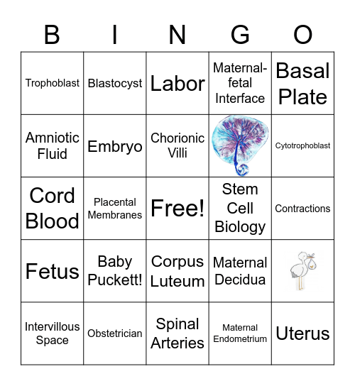 Placenta Shower Bingo! Bingo Card