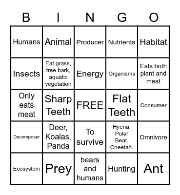 Herbivore-Omnivore-Carnivore Bingo Card