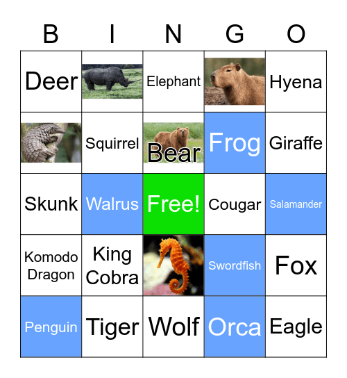 Animal Bingo Card