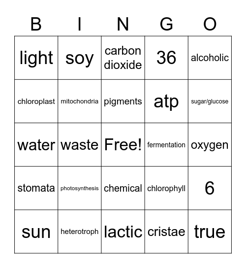 Photosynthesis, Cellular Respiration, and Fermentation Bingo Card