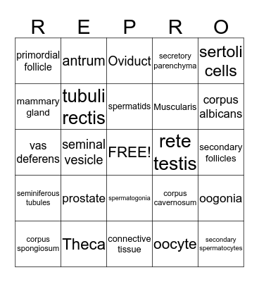 Reproductive Bingo! Bingo Card