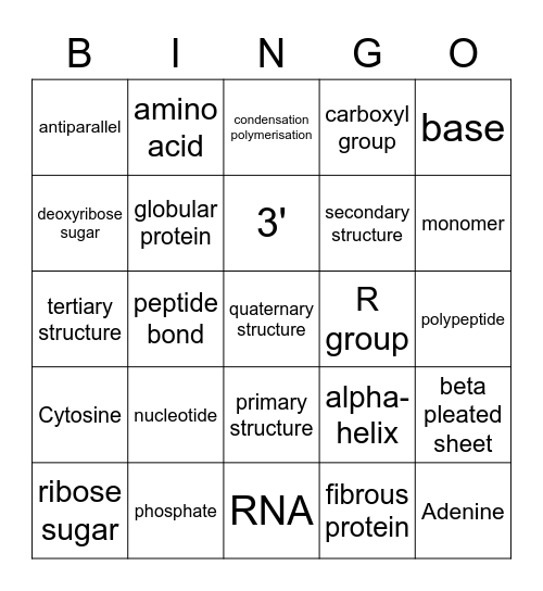 Proteins and nucleic acids Bingo Card
