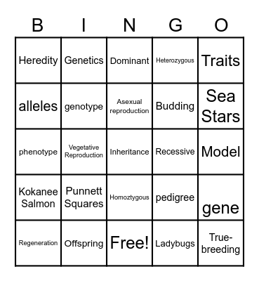 Science Bingo Card
