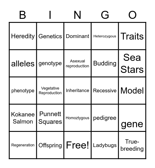Science Bingo Card