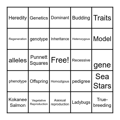 Science Bingo Card