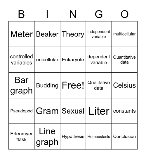 IDP Bio 1 Review November Test Bingo Card