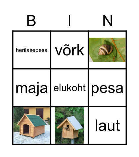 ELUPAIK Bingo Card