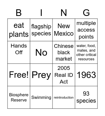 Jaguar and Border Wall Bingo Card