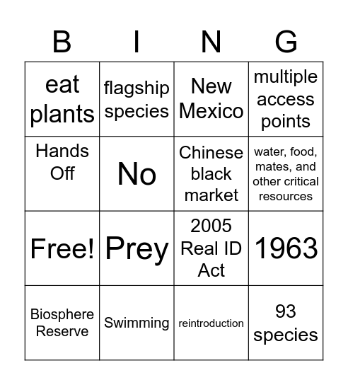 Jaguar and Border Wall Bingo Card