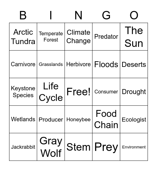 Environment Bingo Card