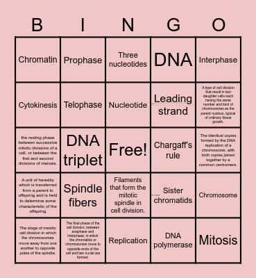 Unit 5 vocabulary Bingo Card