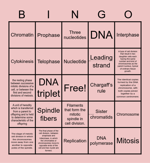Unit 5 vocabulary Bingo Card