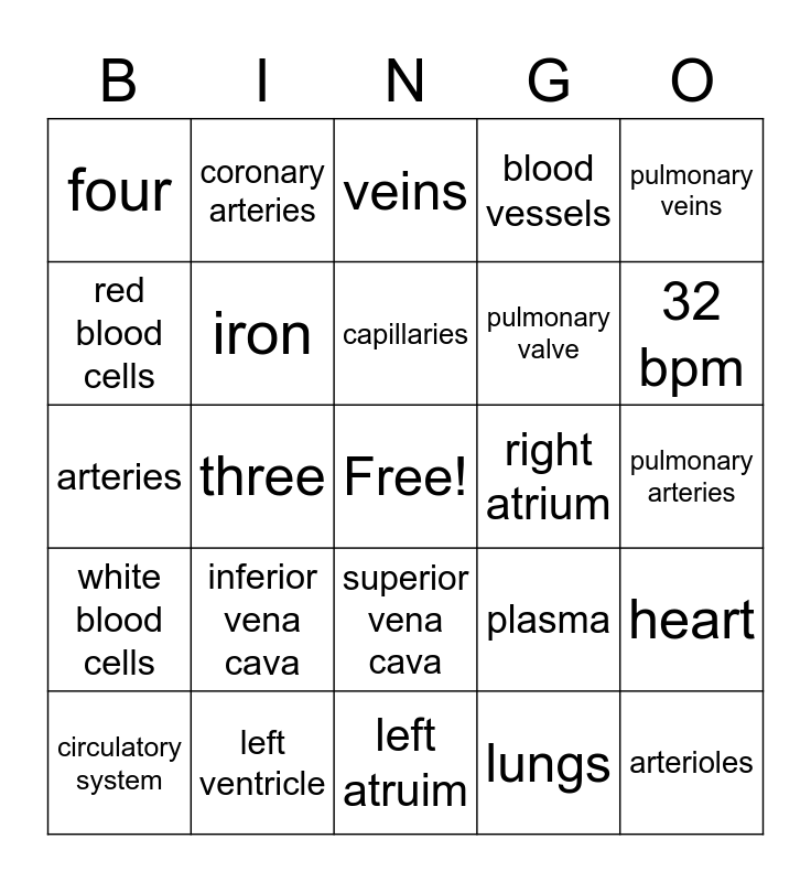 Circulatory System Bingo Card