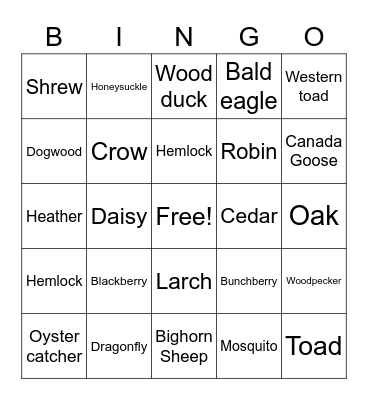 BC NATURE BINGO Card