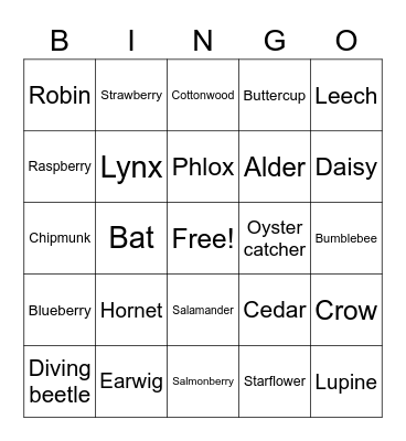 BC NATURE BINGO Card