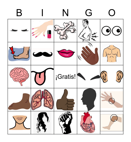 EL CUERPO (IMAGENES) Bingo Card