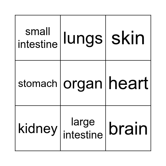 organs Bingo Card