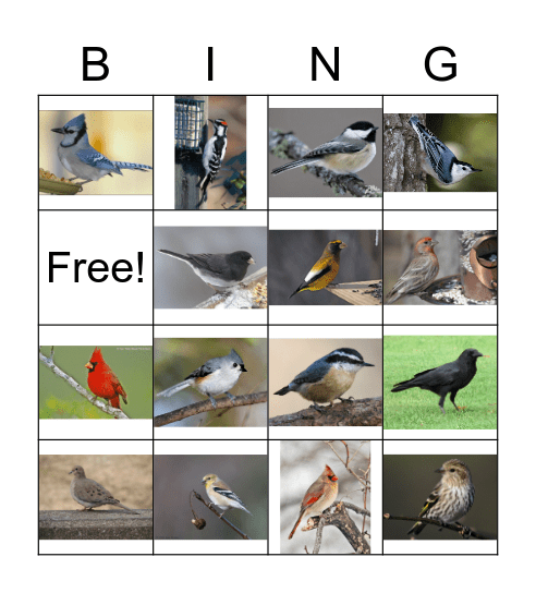 Winter Birds Bingo Card