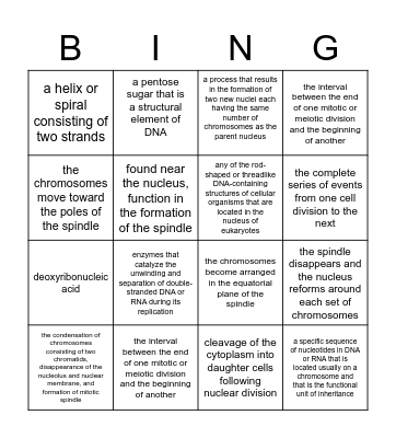 Unit 5 Vocabulary Bingo Card