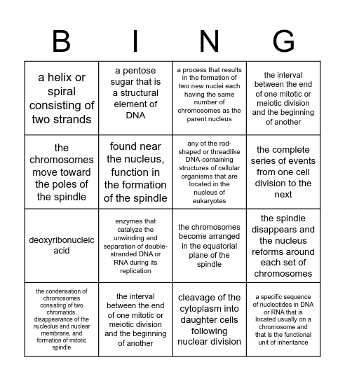 Unit 5 Vocabulary Bingo Card