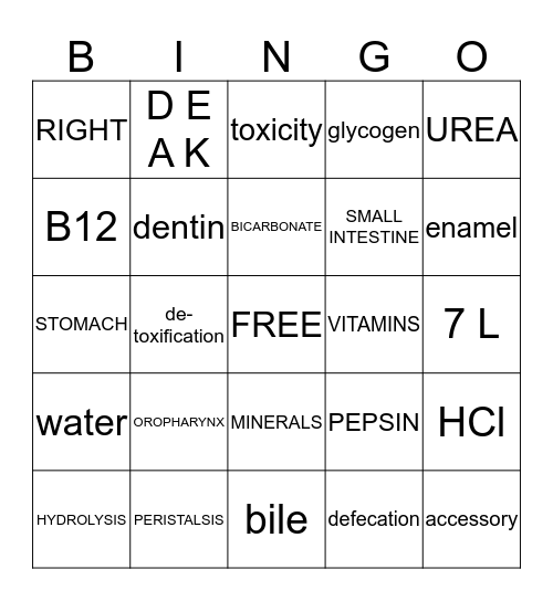 DIGESTIVE SYSTEM REVIEW CARD 2 Bingo Card