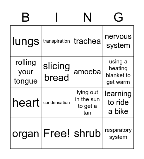 5th Grade Science Review Bingo Card