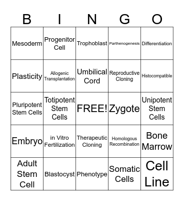 Stem Cell Research Bingo Card